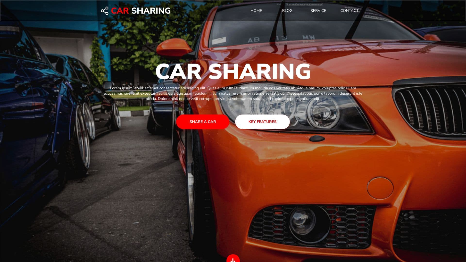 Zrzut ekranu projektu Car Sharing