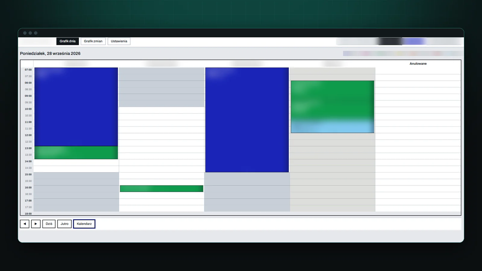Zrzut ekranu projektu Grafik serwisu samochodowego